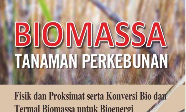 Agen Bonanza Terjitu: Solusi Terbaik untuk Keberuntungan Anda